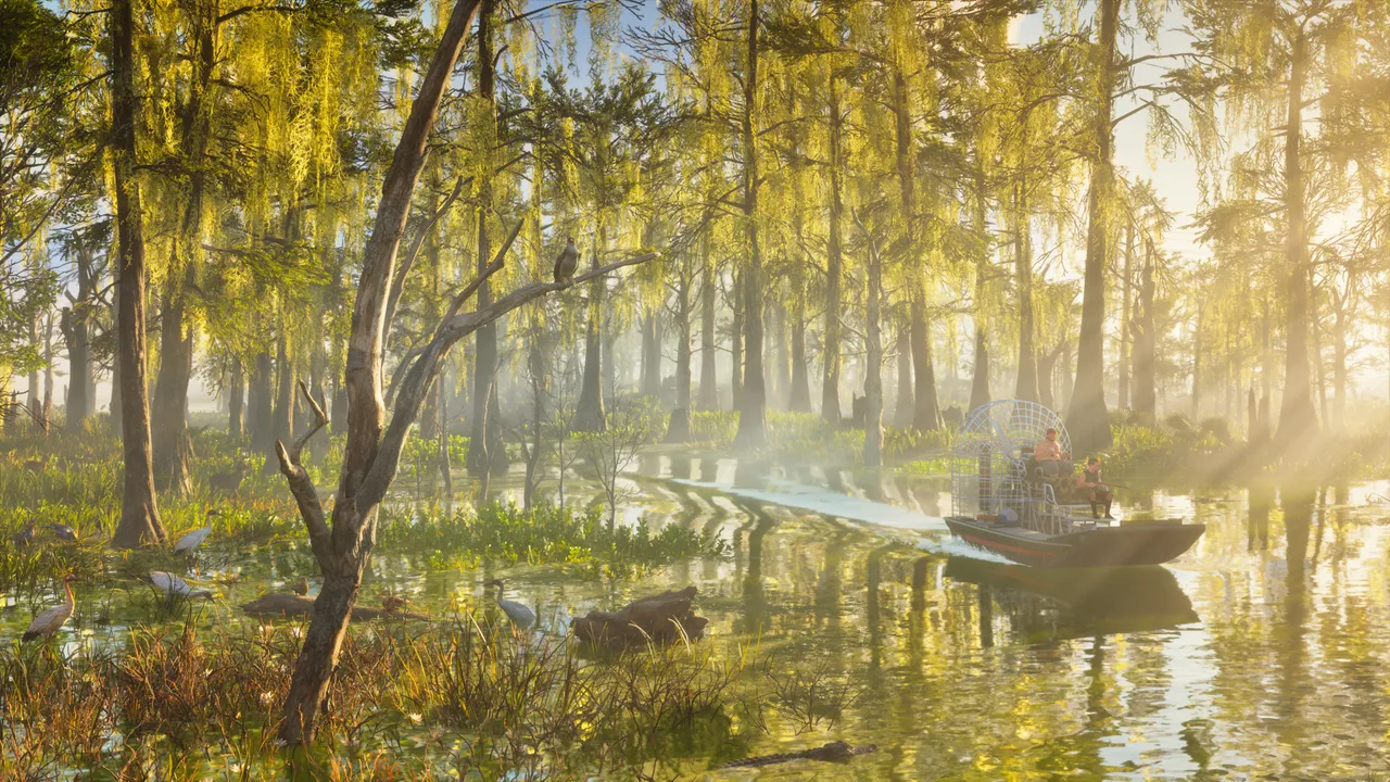 An airboat moving through a sunlit cypress swamp with birds and an alligator